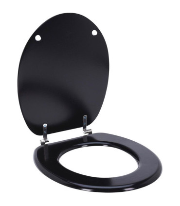 Wood toilet seat