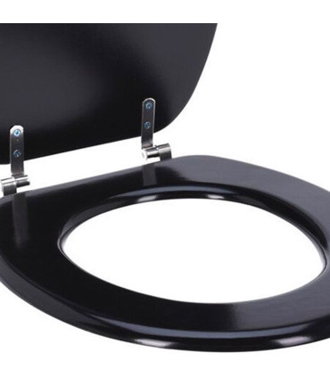 Wood toilet seat