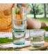 Set of 4 Water Glasses - Bodega
