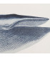 Set de 2 cadres décoratifs baleines 70x2.5x35cm
