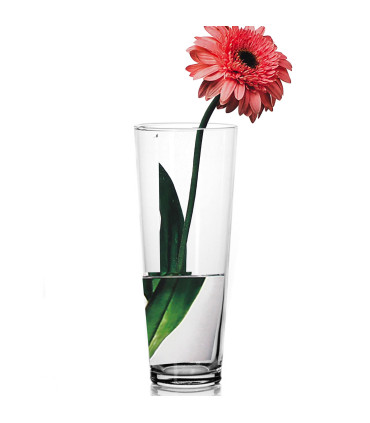 Vase en verre transparent 10x10x26cm