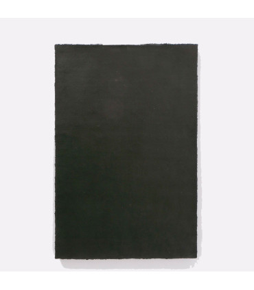 Paillasson coco noir Home 60x40x1.5cm
