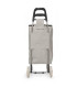 Shopping Trolley Grey