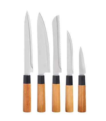 Set of 5 kitchen knives and Organizer Bloc