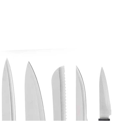 Set of 5 kitchen knives and Organizer Bloc