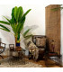Store enrouleur intérieur en bambou foncé 60x2x175cm