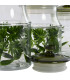 Set de 3 pots en verre botanique 12x12x23.5cm
