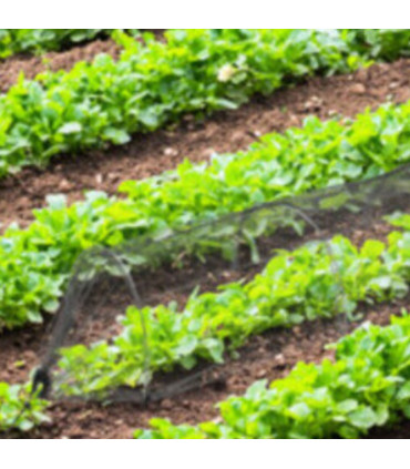 Tunnel de potager filet anti-insestes pliable 300x45x45cm
