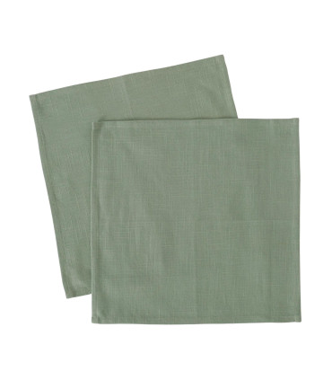 Set de 2 serviettes de table 100% coton vert 40x40cm