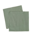 Set de 2 serviettes de table 100% coton vert 40x40cm