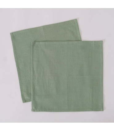 Set de 2 serviettes de table 100% coton vert 40x40cm