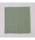 Set de 2 serviettes de table 100% coton vert 40x40cm