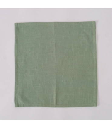 Set de 2 serviettes de table 100% coton vert 40x40cm