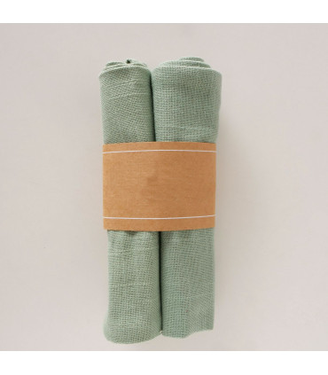 Set de 2 serviettes de table 100% coton vert 40x40cm