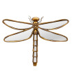 Wall Decoration gold resine dragonfly 26x35cm