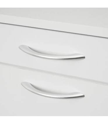 shoe Closet Wood white 60x24x80cm