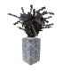 Vase pot en céramique bleu et blanc avec couvercle 15x15x31cm