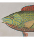 Set de 6 cadres décoratifs bambou poissons 60x2x45cm