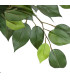 Artificial Plant Indoor ficus 56x56x150cm