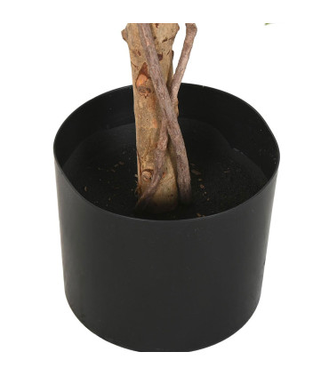 Artificial Plant Indoor ficus 56x56x150cm
