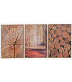 Set de 3 tableaux décoratifs arbres 50x70x4cm