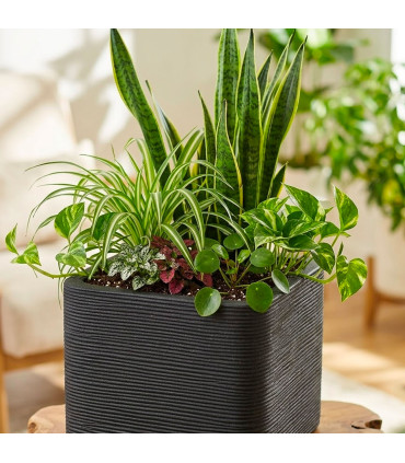 Plant Pot beige Polyéthylène 40x40x55cm