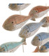 Décoration murale banc de poissons multicolores en bois 78x4.5x22cm