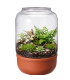Terrarium terre cuite et verre recyclé 20x20x30cm