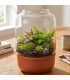 Terrarium terre cuite et verre recyclé 20x20x30cm
