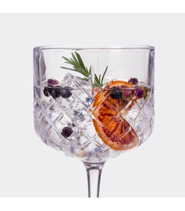 Set of 2 gin Glasses highball 50cl