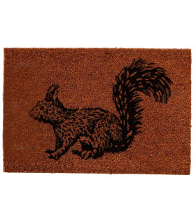 Coco Doormat squeerel 60x40x1.5cm