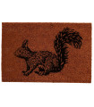 Paillasson coco écureuil 60x40x1.5cm
