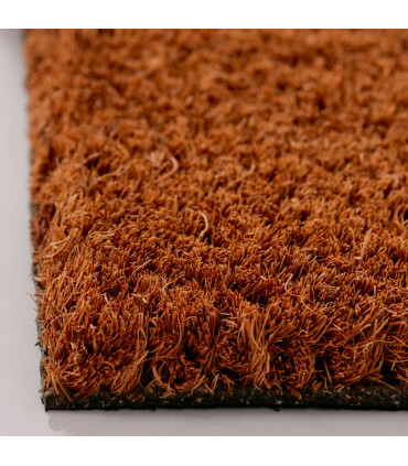 Coco Doormat squeerel 60x40x1.5cm