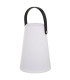 Set de 2 lanternes extérieures LED blanc, noir et vert 13.5x13.5x20.5cm