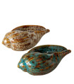 Set de 2 coquillages décoratifs à poser porcelaine bleu et beige 14x8x5.5cm