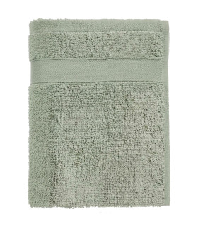 Serviette invité essuie-mains coton vert 30x50cm