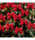 Set de 8 noeuds rouges pour décoration sapin de Noël 7.5cm