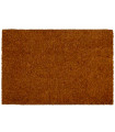 Coco Doormat 60x40x1.5cm